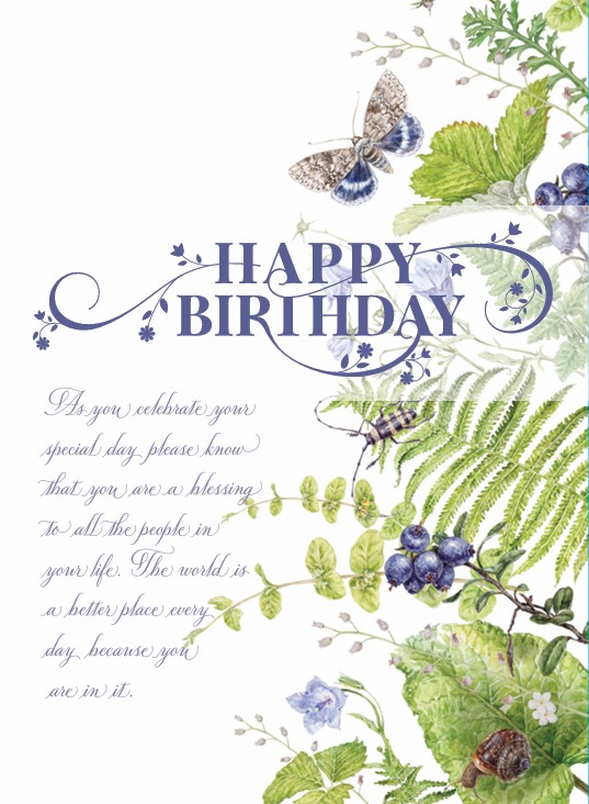 Birthday Card